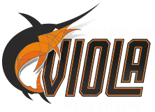 Logo viola basket