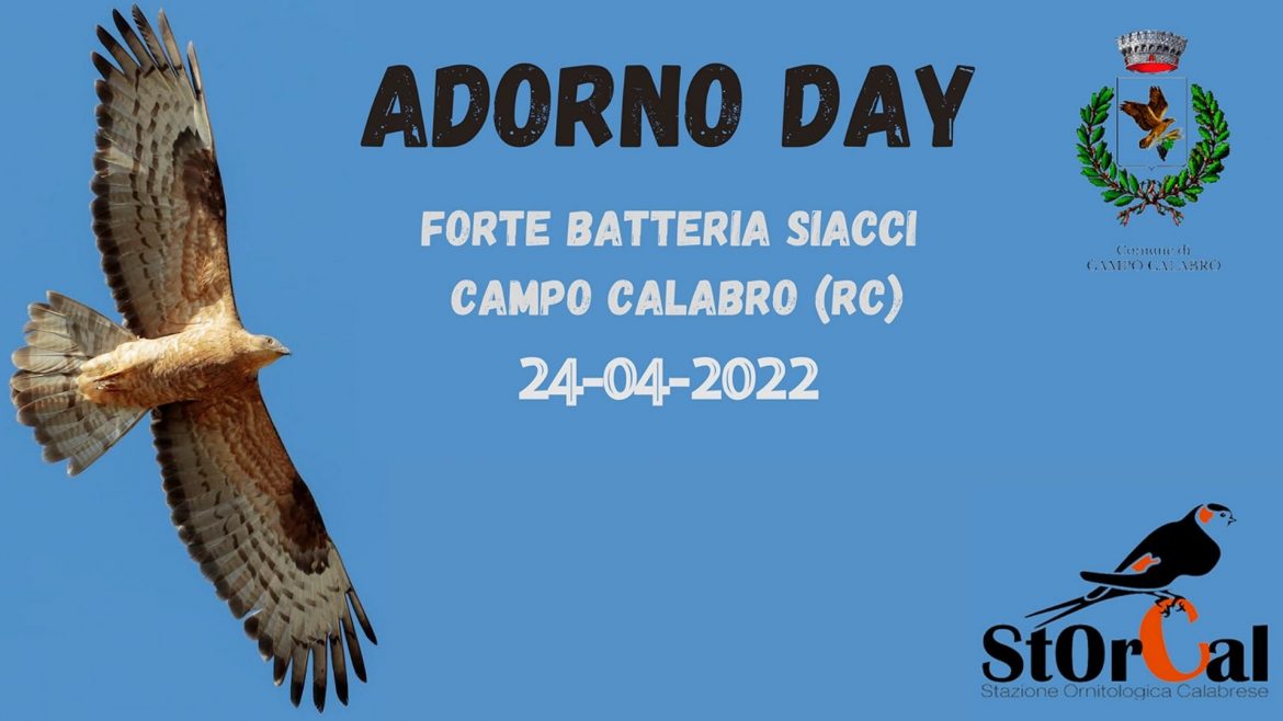 adorno day