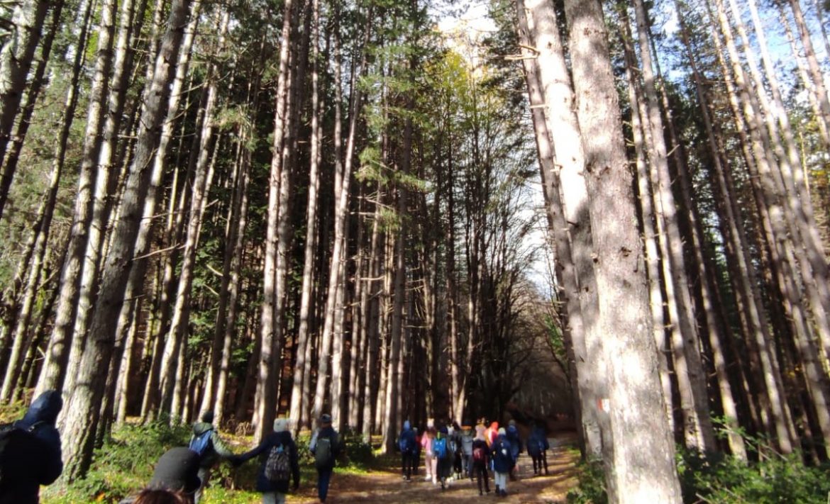 giornata della terra