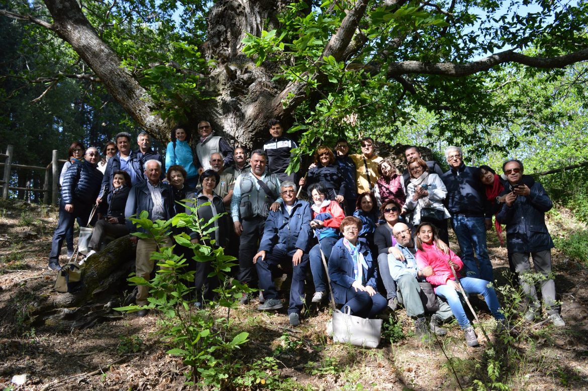 Gruppo Micologico Gioffrè di Rizziconi Presidente Serafino Cannavò