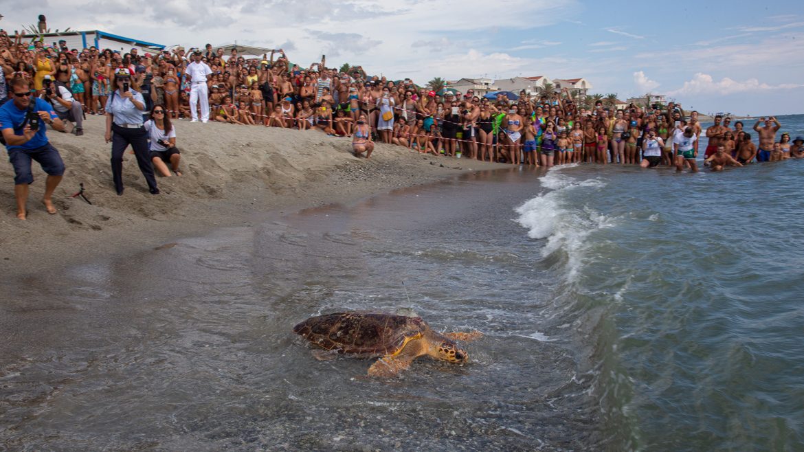 Centro di Recupero Tartarughe Marine