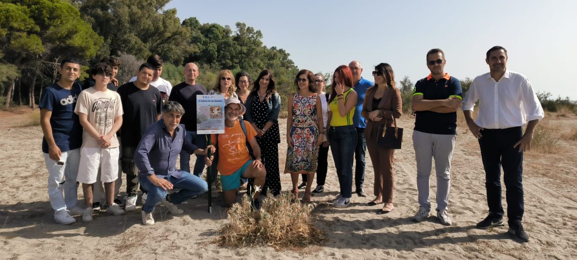 Alecci presso le Dune di Giovino