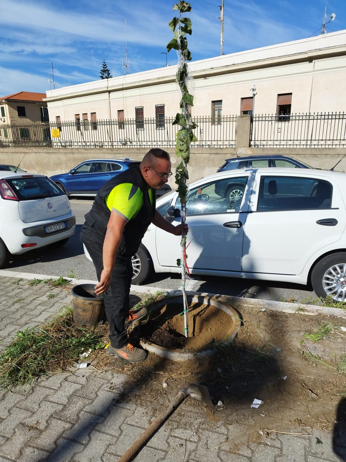 Giornata Albero Radice Alighieri 6 nuove piante