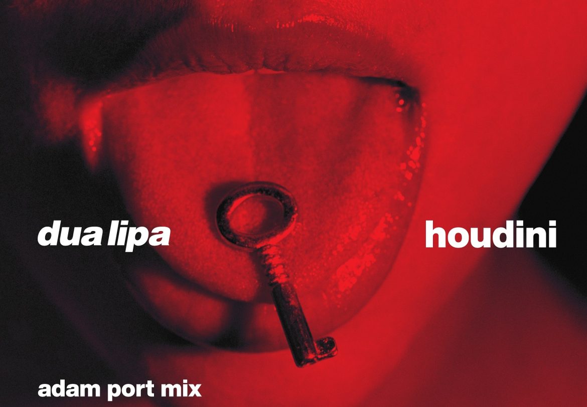 h_adamportmix_dsp_red